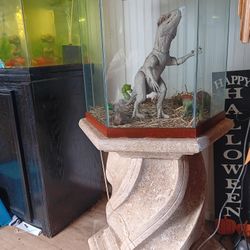 55 Gallon Hexagon Aquarium With Stand And Lid