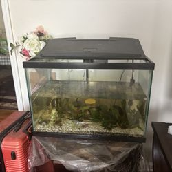20 Gallon Fish Tank