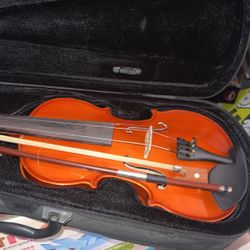 Violín