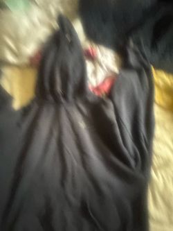 Blue alo hoodie