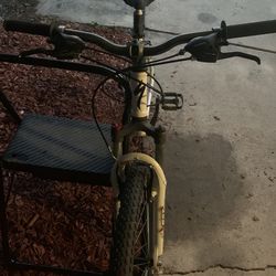 Specialized for discount sale near me