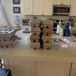 Free Egg Cartons 