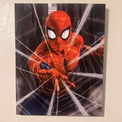 Spiderman Canvas