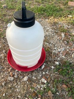 CHICKEN WATER DISPENSER