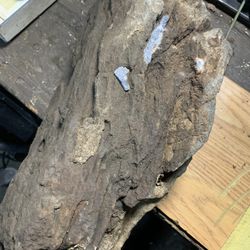 20 Pound 13”x6-1/2” Petrified Wood With Crystallization 