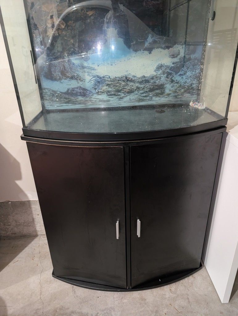 Top Fin 36 Gallon Aquarium & Stand