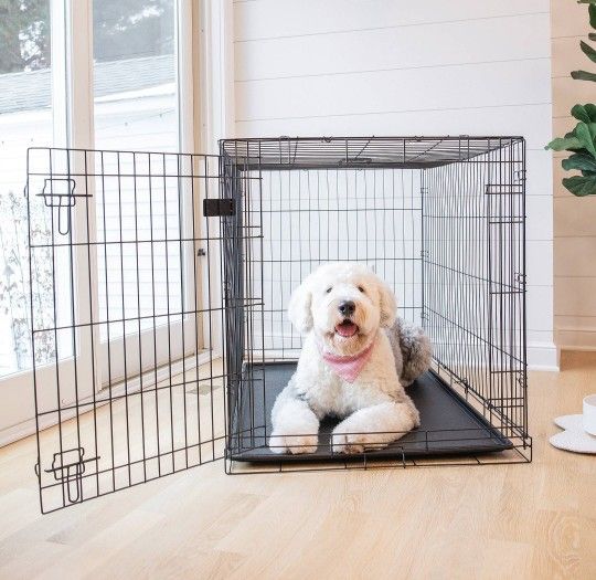 Dog Crate