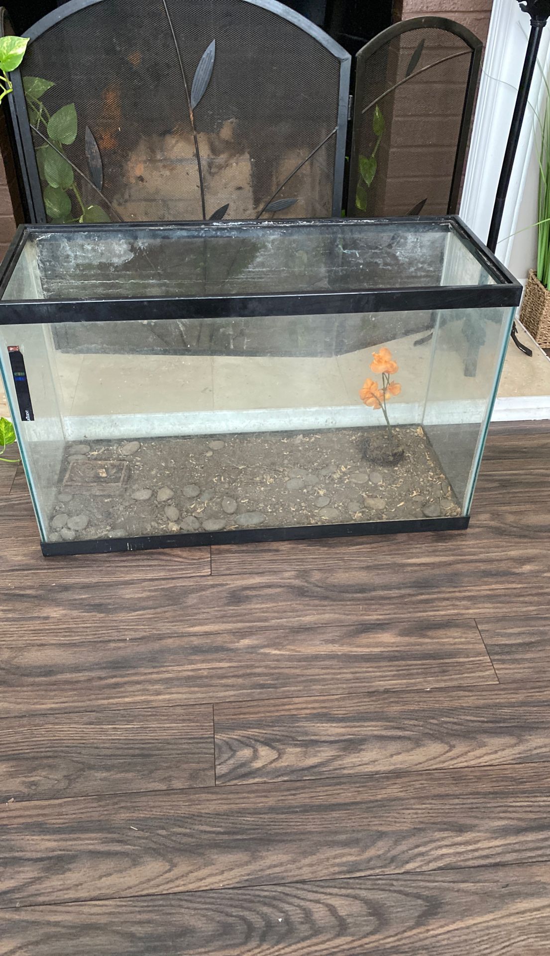 Fish/ Amphibian Tank