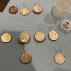 20 Morgan Silver Dollars