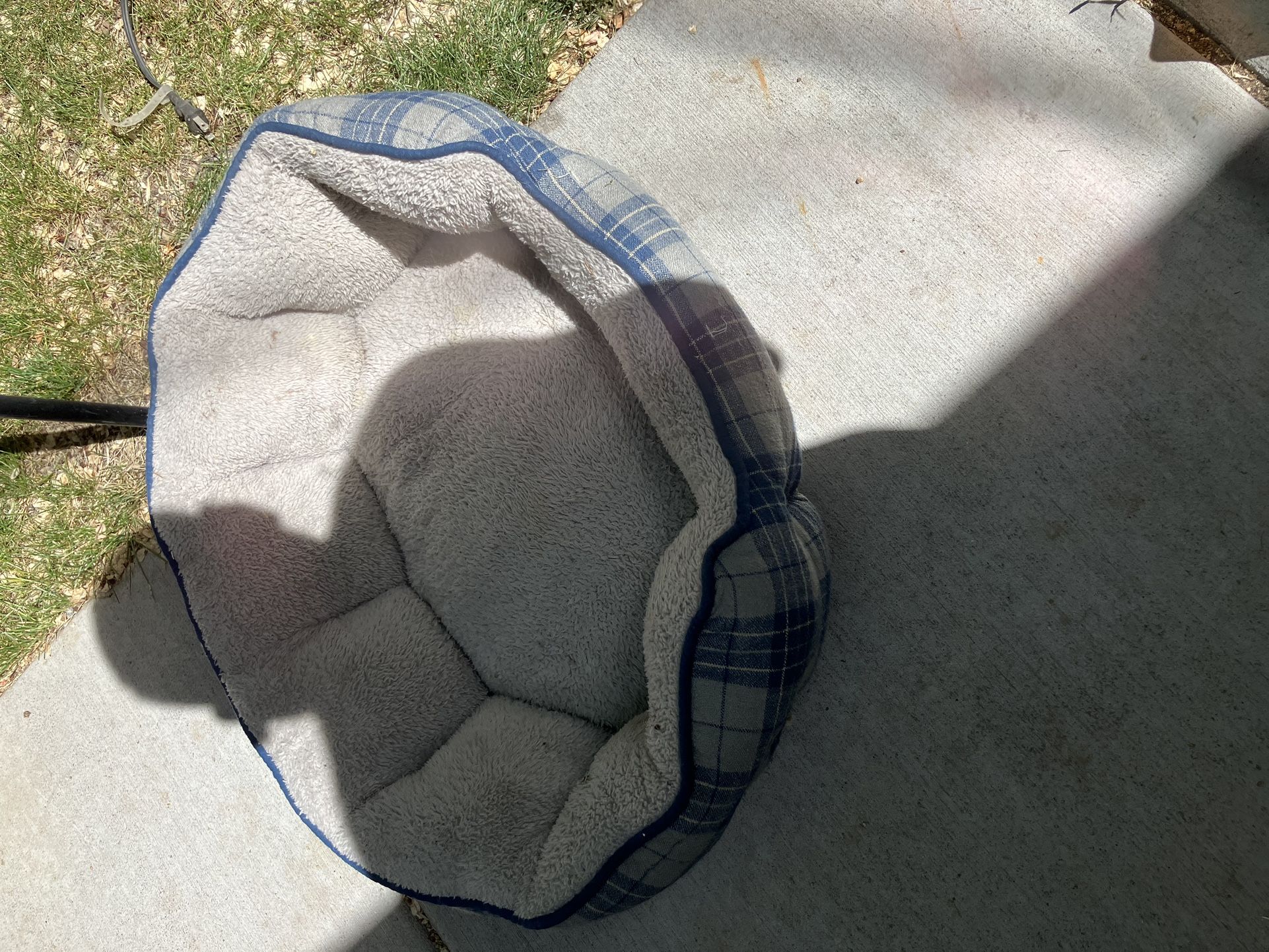 Dog Beds And Medi Cone