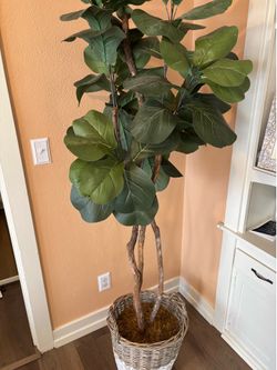 Large faux indoor tree