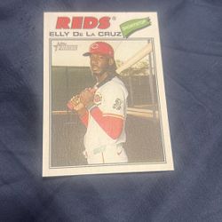 Reds Baesball Cards
