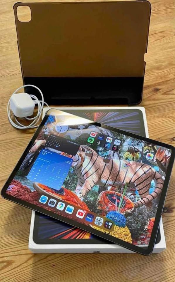 Apple IPad