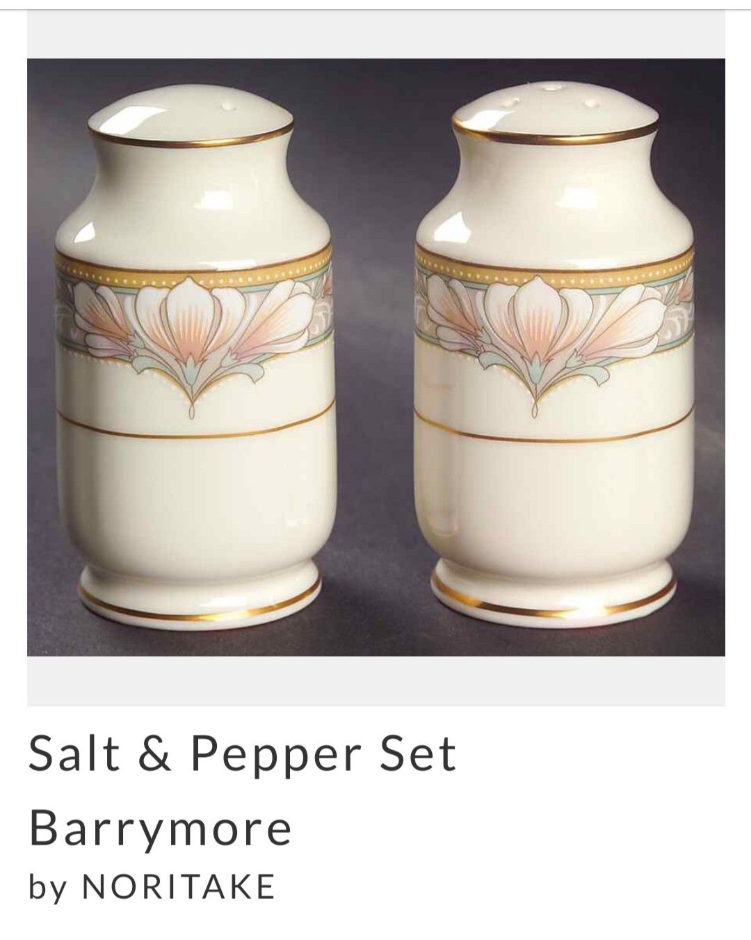 Noritake Barrymore Bone China Salt and Pepper Shaker