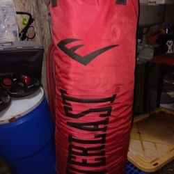 Everlast Heavy Bag