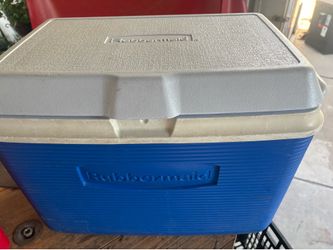 Cooler hielera