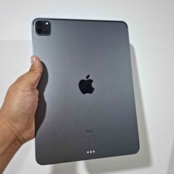 Apple Pro