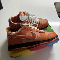 Nike Dunk Sb