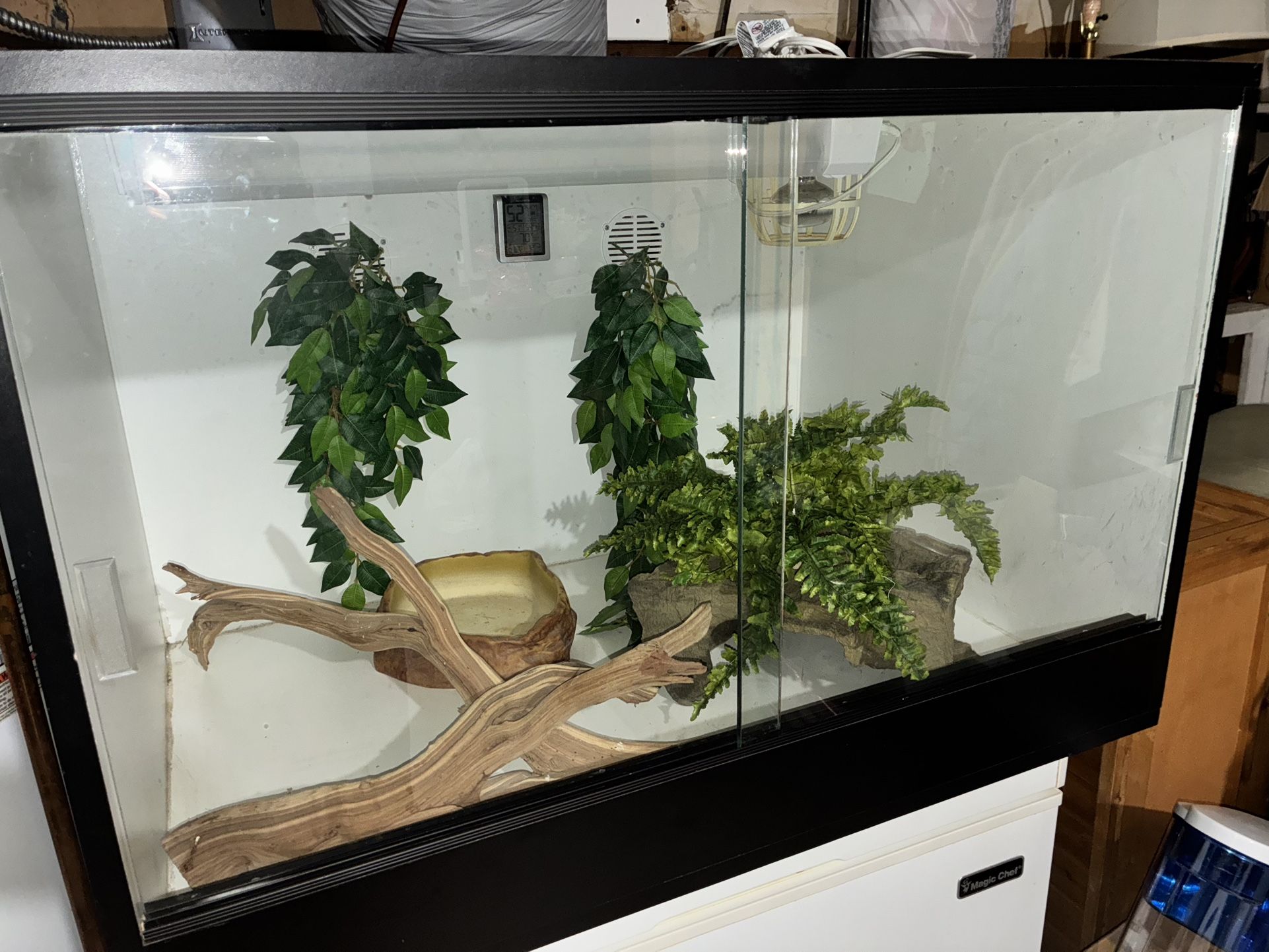 Reptile Room