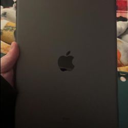 2019 Apple iPad 7th Gen (10.2 inch, Wi-Fi, 32GB)

