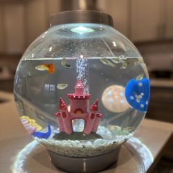 Aquarium 8 Gallon  , Fishes For Free