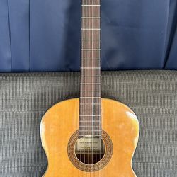 Acoustic Guitar Vintage Silvertone 