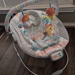 Baby Bouncer