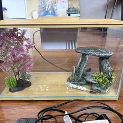 Small Fish Tank 