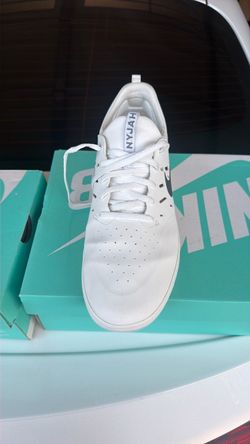 Nike SB Low-Top Skate Sneakers