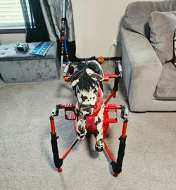 Radio Flyer Hoppy Horse