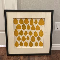 Framed Leaves- 