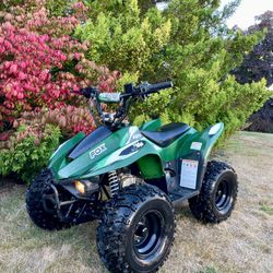 70cc Kayo Fox Kids Atv 