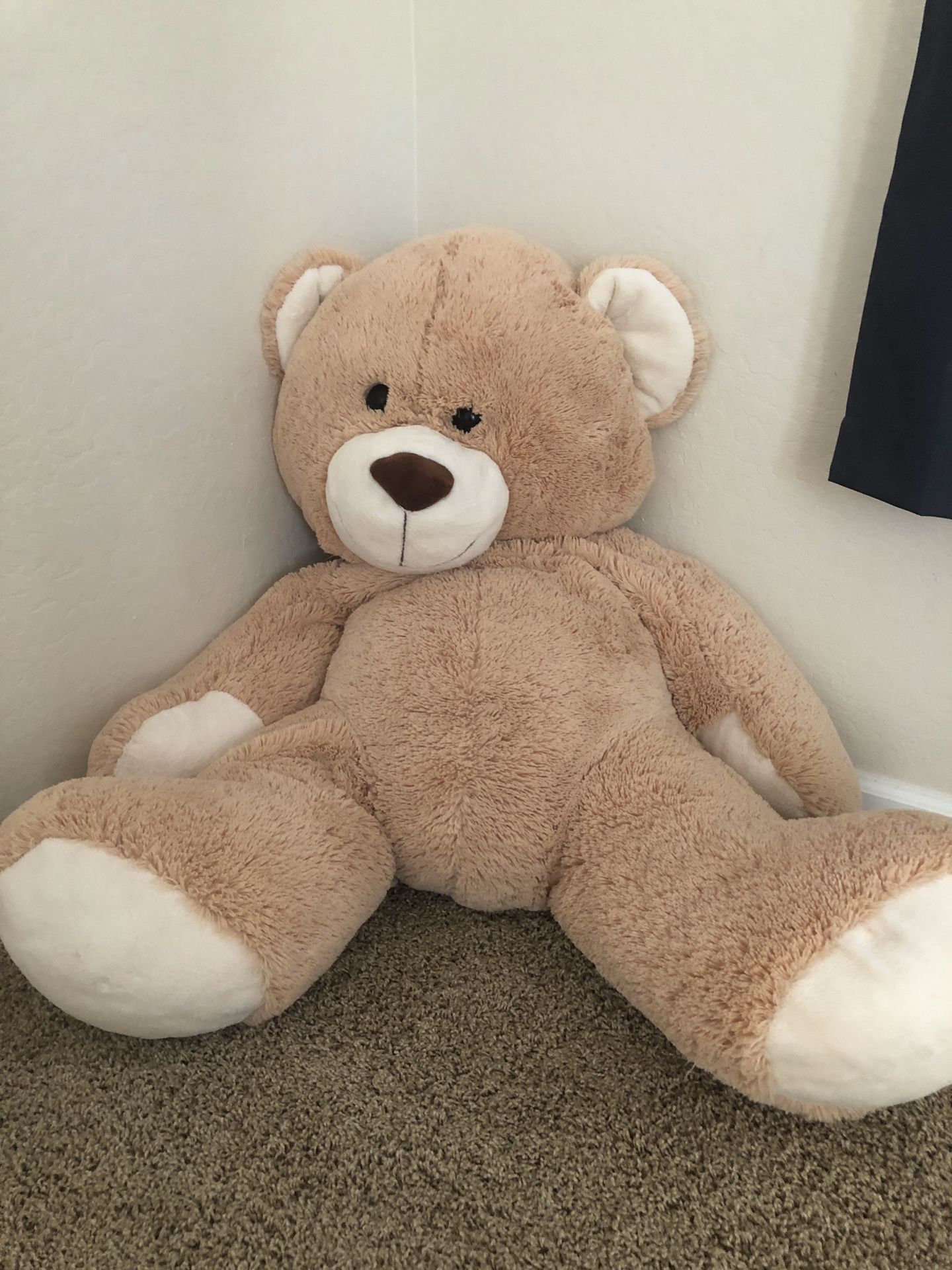 48 inches teddy bear