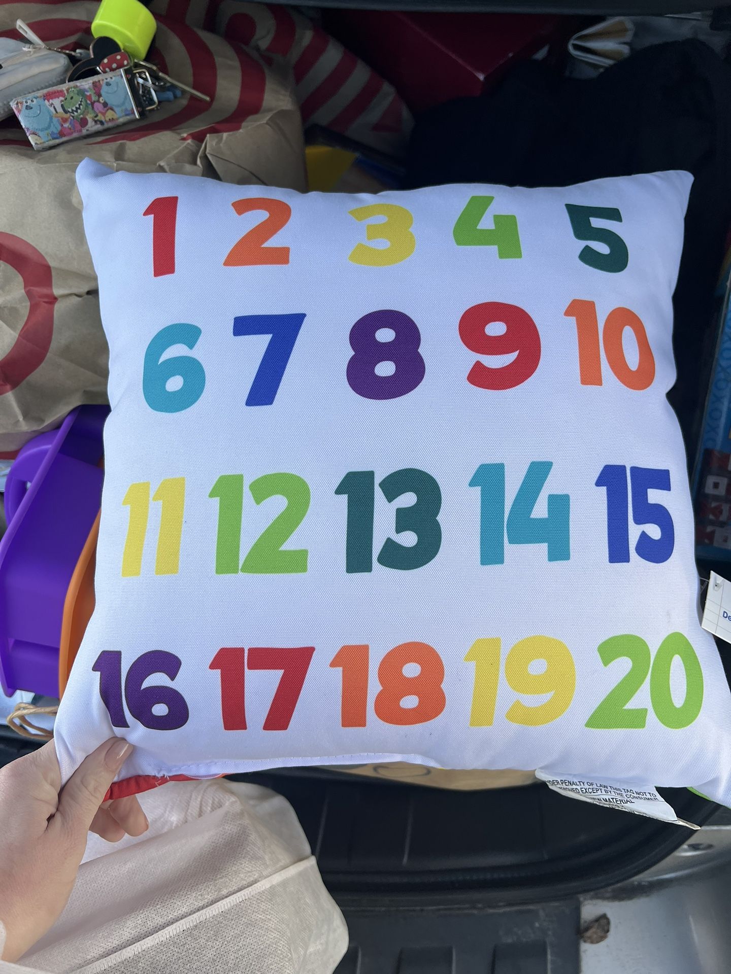 Numbers Classroom Decorative Pillow