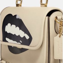 CA123 Coach Ivory X Tom Wesselmann Rogue Top Handle