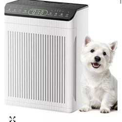 Morento Air Purifier