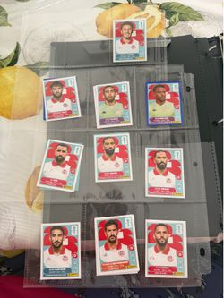 Panini