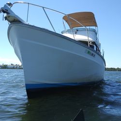 New inside 34 proyect boats