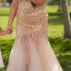 Elegant Dress 