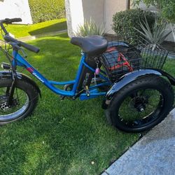 Electric 3 Wheel Bike 