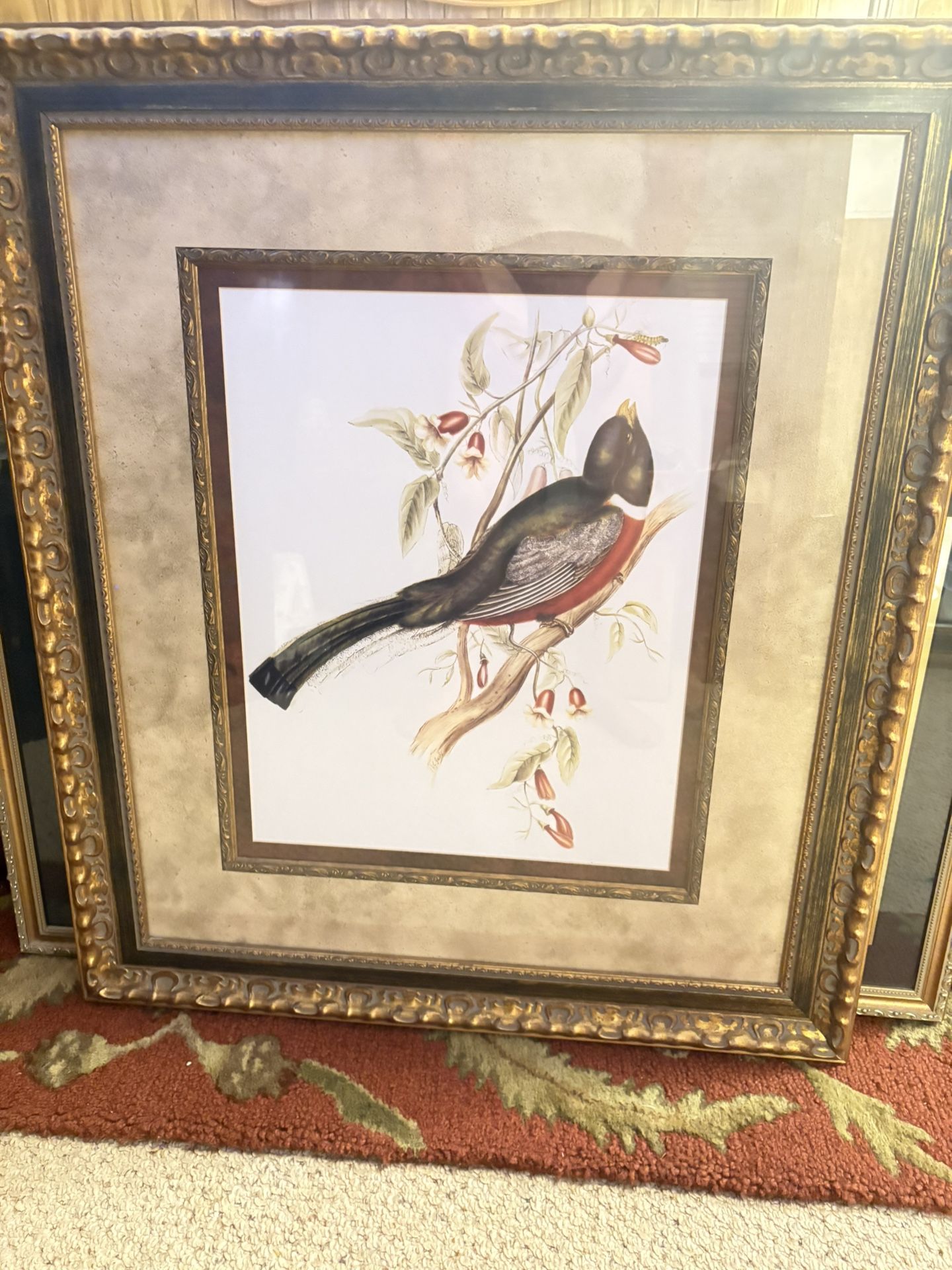 Framed Picture