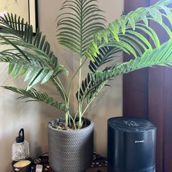 Fake Plants 