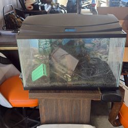 Fish Tank 