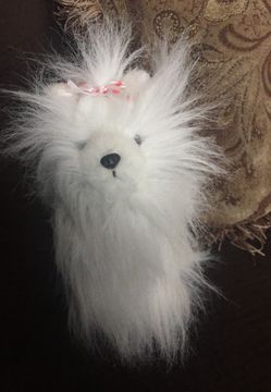 Toy dog