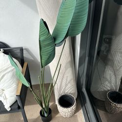 Fake Plant + Pot 