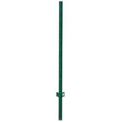 20 t-posts