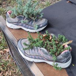 Succulent Plants in a shoe!! 