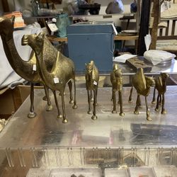 Set Of 6 Brass Camels