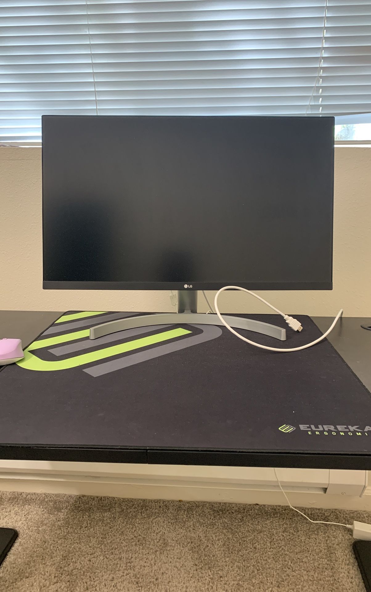 LG Monitor