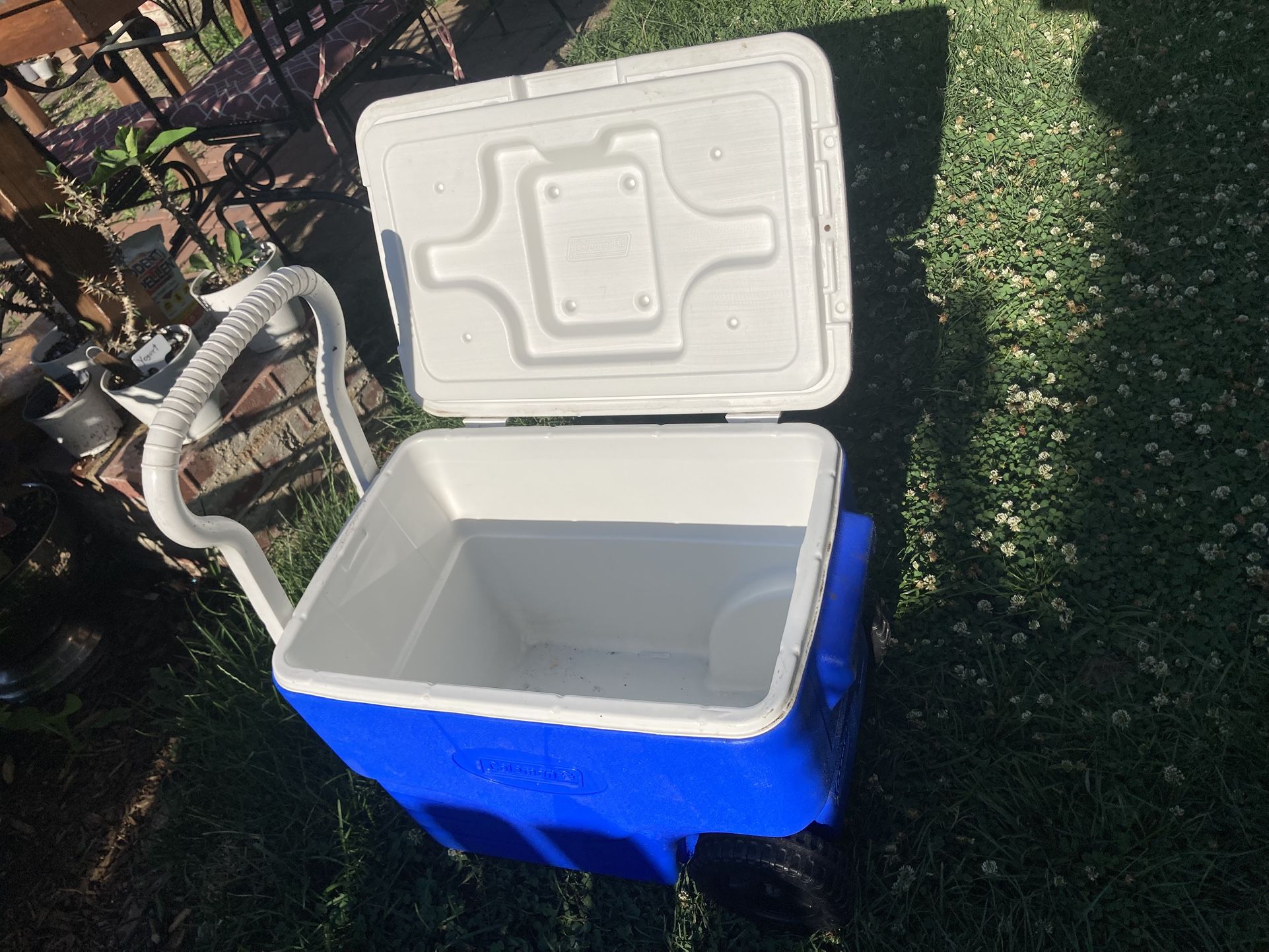 Coleman 40 qts
